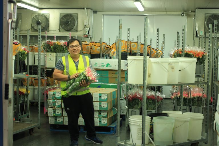 Premium Flowers New Zealand Grower Importer Exporter Distributor of